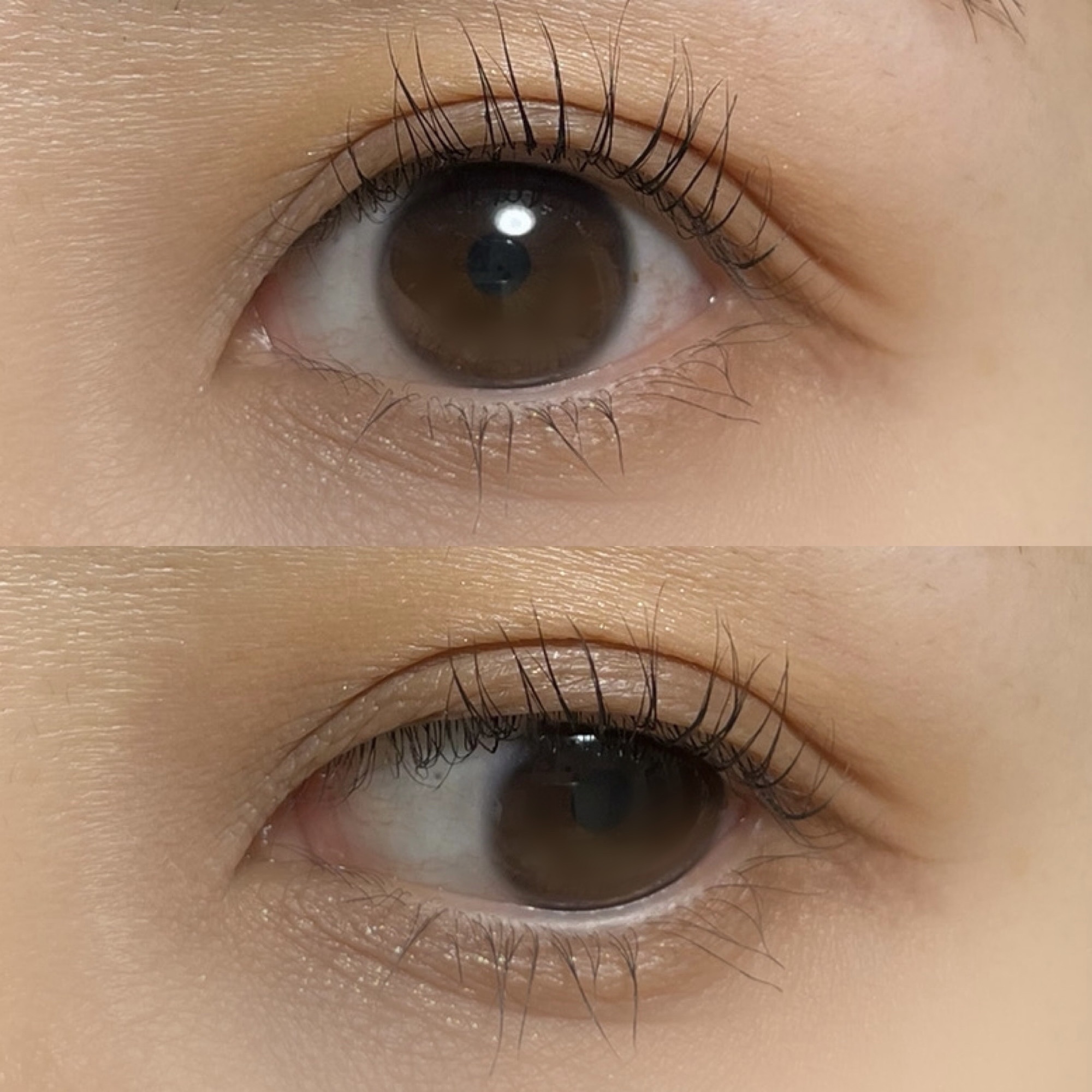 フェアリーカールマスカラ/upink/マスカラを使ったクチコミ（3枚目）