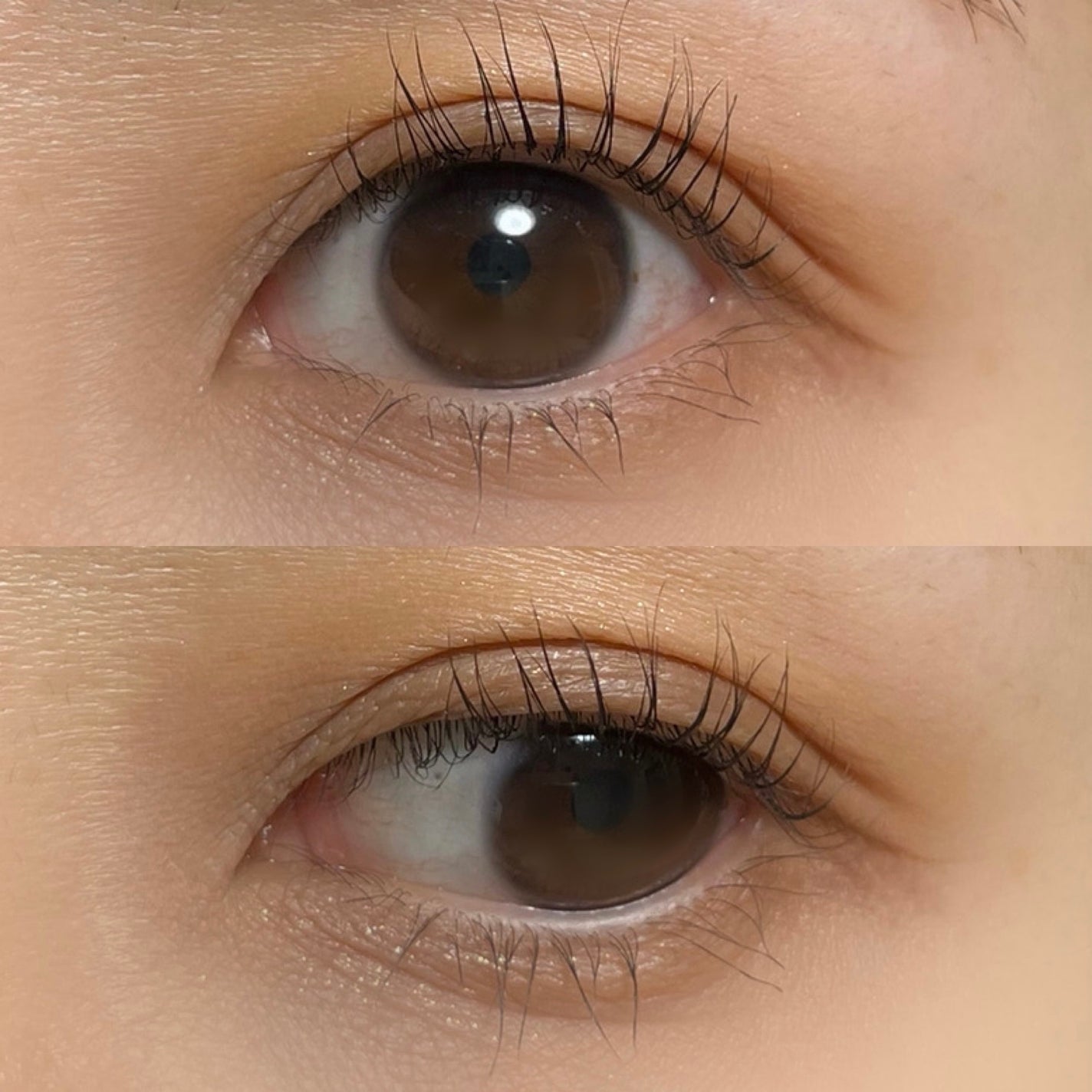 フェアリーカールマスカラ/upink/マスカラを使ったクチコミ(3枚目)