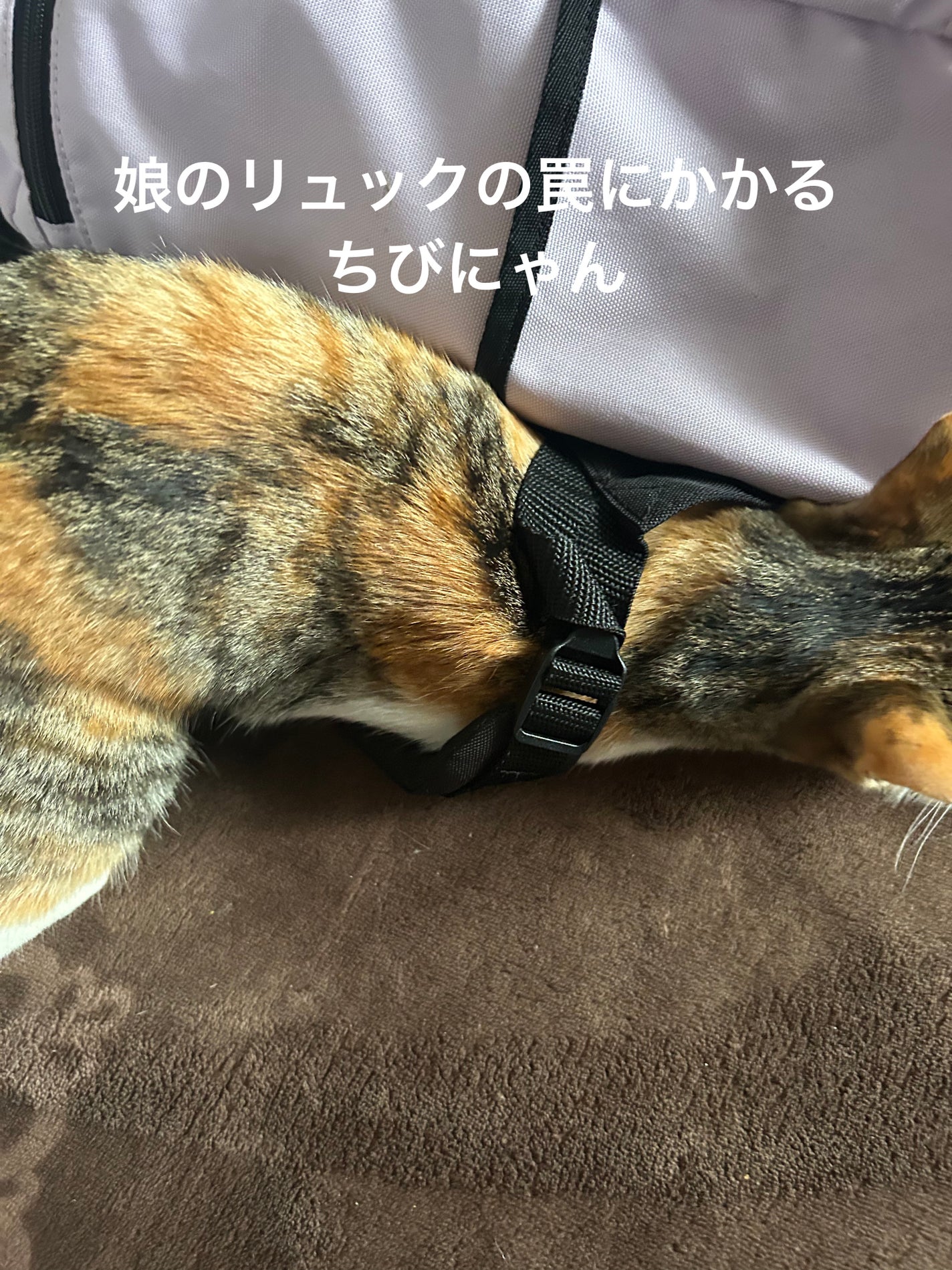 ðââ¬ã«ãããðŸ on LIPS ãã¡ã³ã«ãã4åç®ã®çºæ
æã3ã4æ¥å€§å£°ã§é³ŽããŠãŸããããã¡ãã¡..ãïŒ4æç®ïŒ