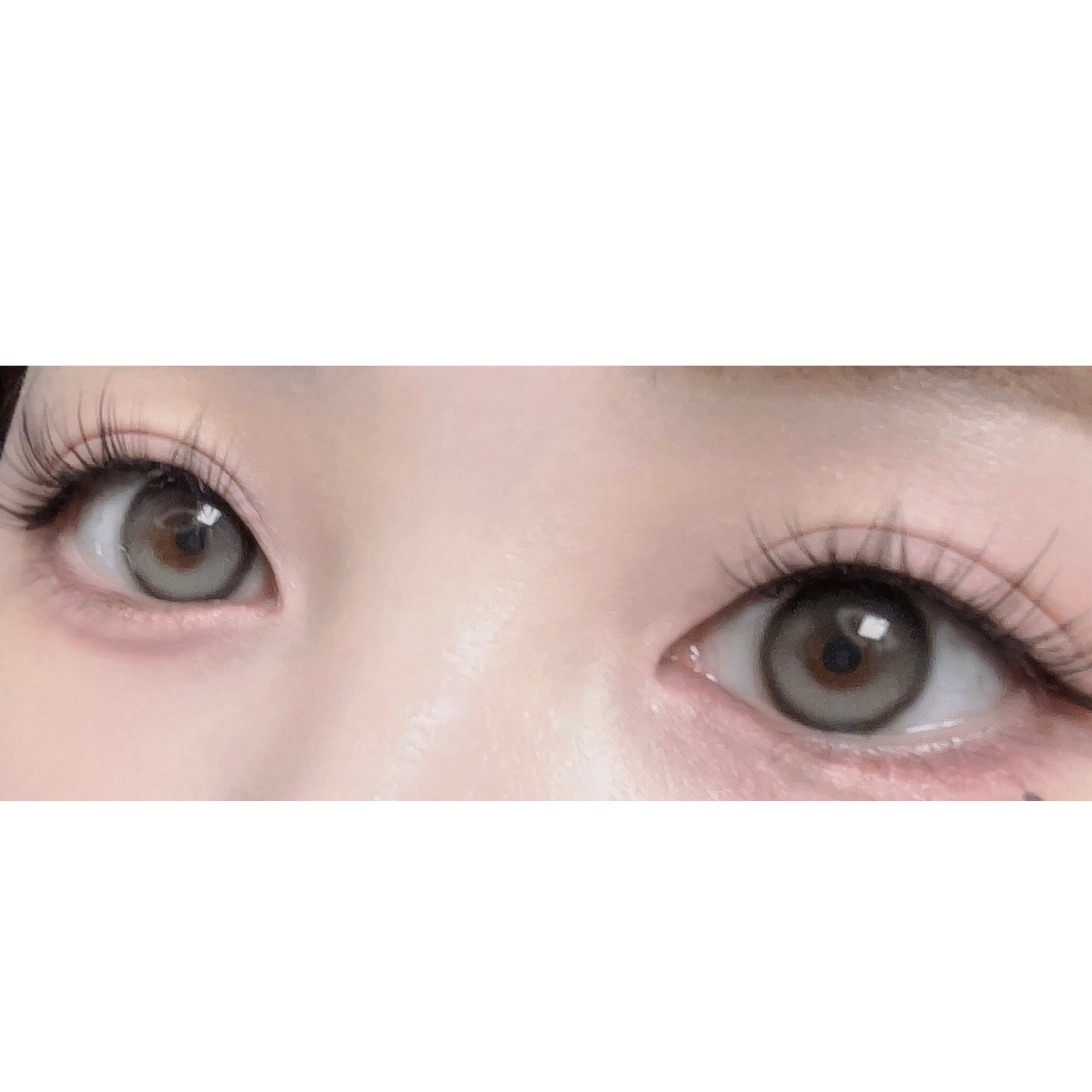 keybo BBiBBi LASH/keybo/つけまつげを使ったクチコミ（2枚目）