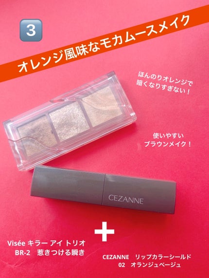 シャドウパレット/dasique/アイシャドウパレットを使ったクチコミ(4枚目)