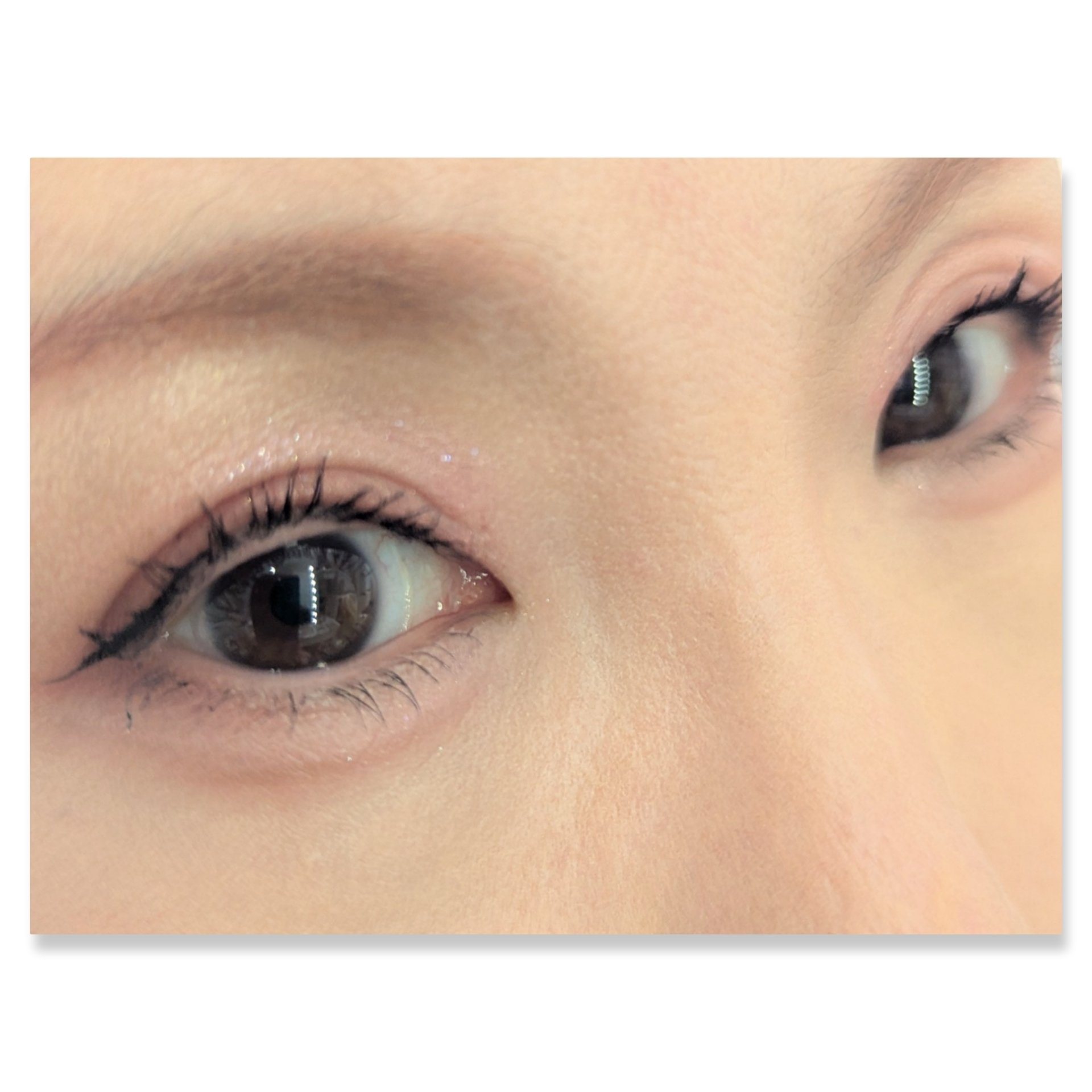 パラドゥ シングルアイシャドウ	/パラドゥ/単色アイシャドウを使ったクチコミ（2枚目）