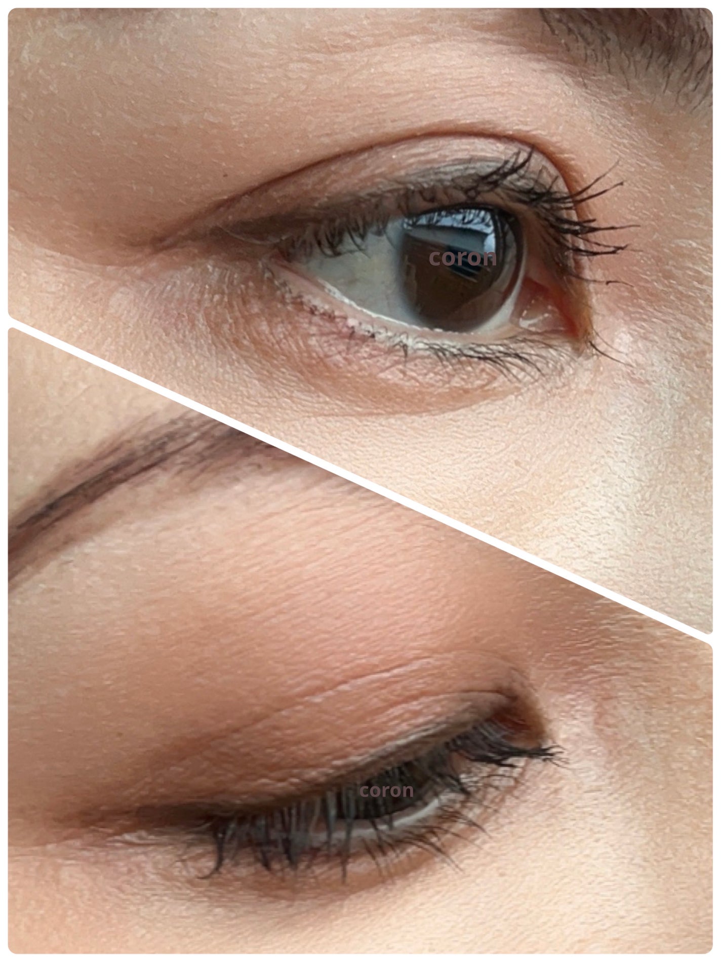 ã»ã«ãŽã©ãŒã¯ ãŽã©ã©ã³ã¿ãªãŒ ã¢ã€ãº/Celvoke/åè²ã¢ã€ã·ã£ããŠã䜿ã£ãã¯ãã³ãïŒ2æç®ïŒ