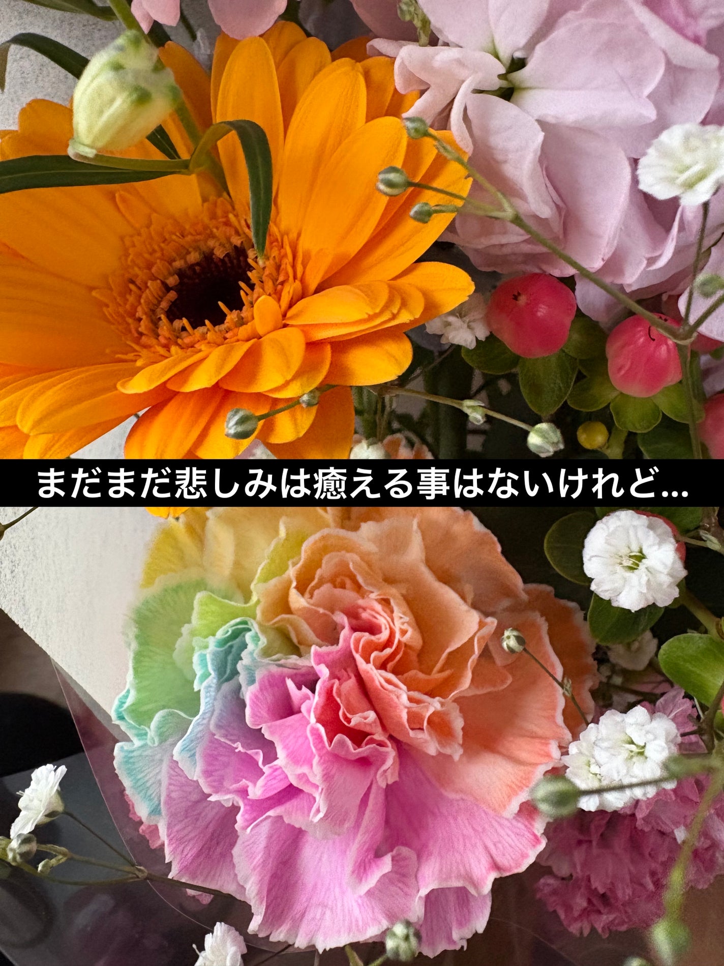 ðç«å¥œããã«ã³ðæ°ãŸãããŒã¡ãŒã¡æçš¿ðŸé »åºŠäžãããŸãðŠ on LIPS ããããããããããåãž...ãããããããããã倧åãªå®¶æã®è..ãïŒ2æç®ïŒ