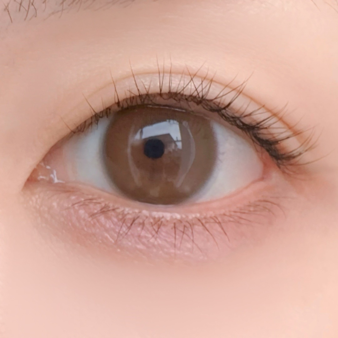 ReVIA CIRCLE 1day/ReVIA/ワンデー（１DAY）カラコンを使ったクチコミ（2枚目）