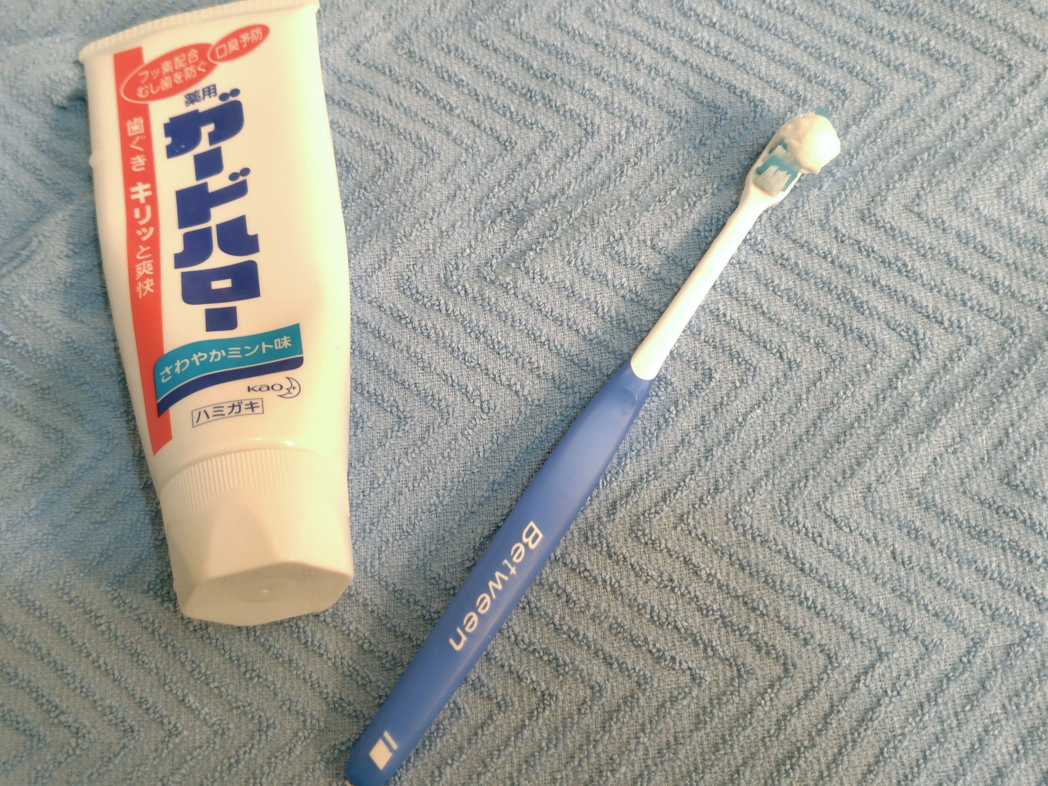 ガードハロー 薬用ハミガキ/花王/歯磨き粉を使ったクチコミ（1枚目）