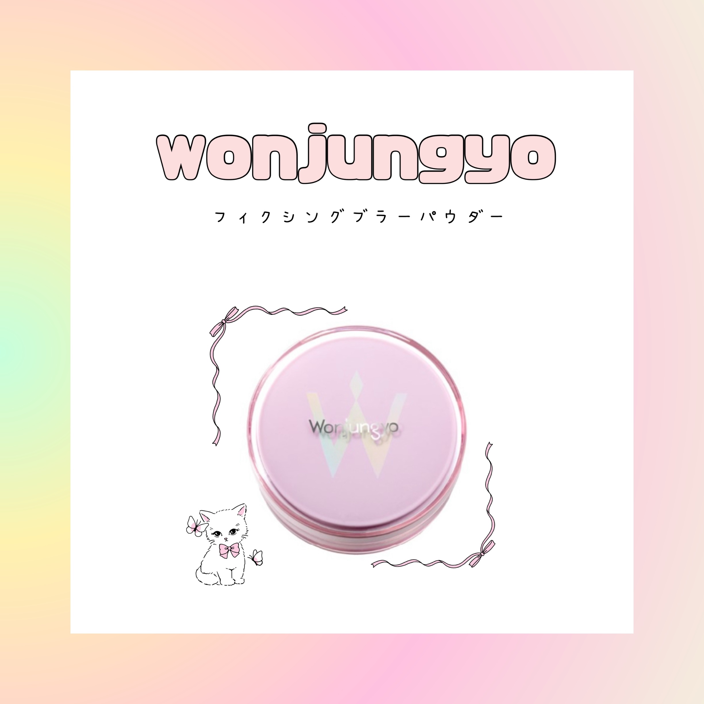 ウォンジョンヨ フィクシングブラーパウダー N/Wonjungyo/ルースパウダーを使ったクチコミ（1枚目）