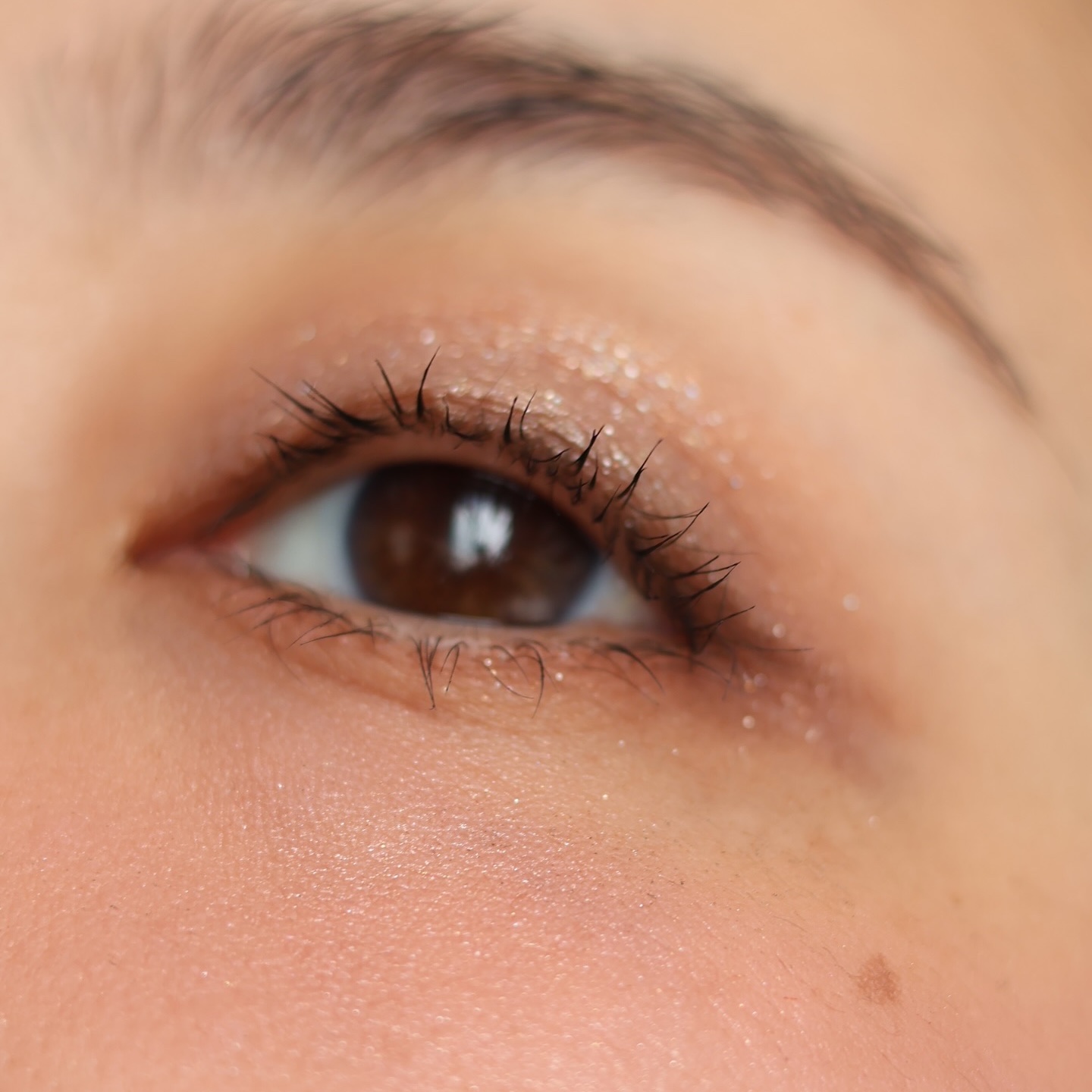 ミニレトロパレット/Natasha Denona/アイシャドウパレットを使ったクチコミ（2枚目）