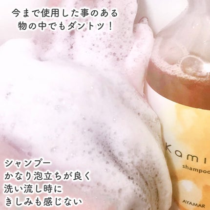 リッチモイストシャンプー/トリートメント シャンプー/Kaminii/市販シャンプーの画像