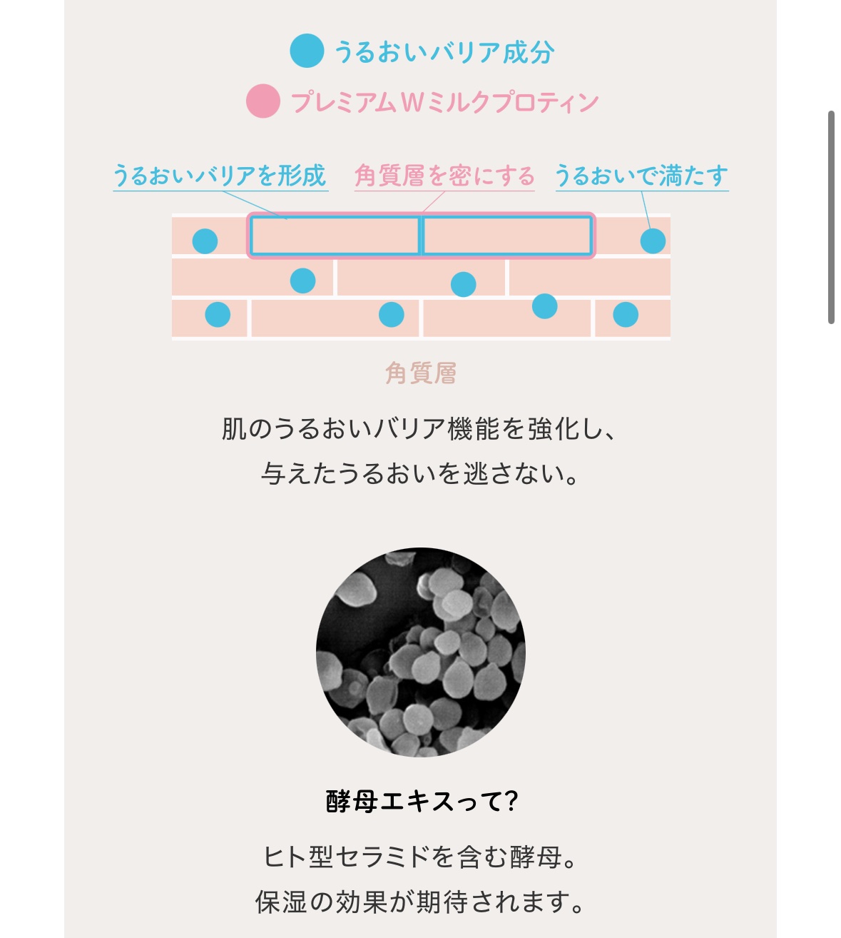 マー&ミー　ボディソープ/マー＆ミー　ラッテ/ボディソープを使ったクチコミ（2枚目）