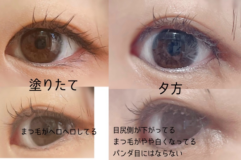 キングダム 束感カールマスカラ クリアブラック/キングダム/マスカラを使ったクチコミ（3枚目）