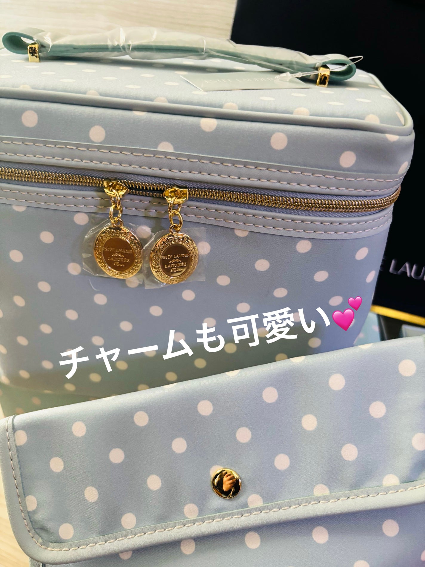 リミテッド エディション リップ オイル コレクション/ESTEE LAUDER/メイクアップキットを使ったクチコミ(6枚目)