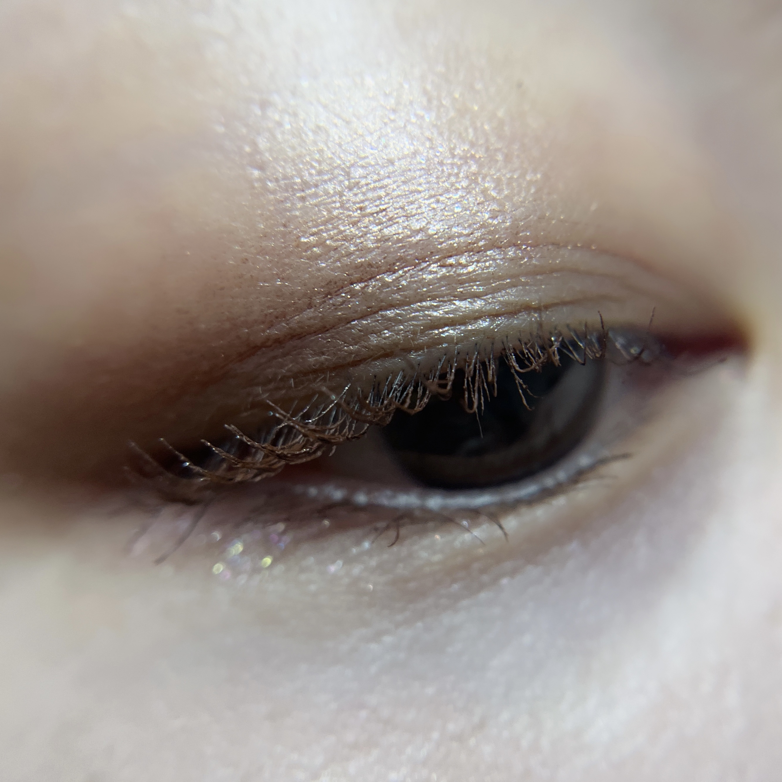 ドラマティックアイカラー (パウダー)/(クリーム) YE252 ムーンライトシュガー (パール)(限定)/マキアージュ/アイシャドウパレットを使ったクチコミ（2枚目）