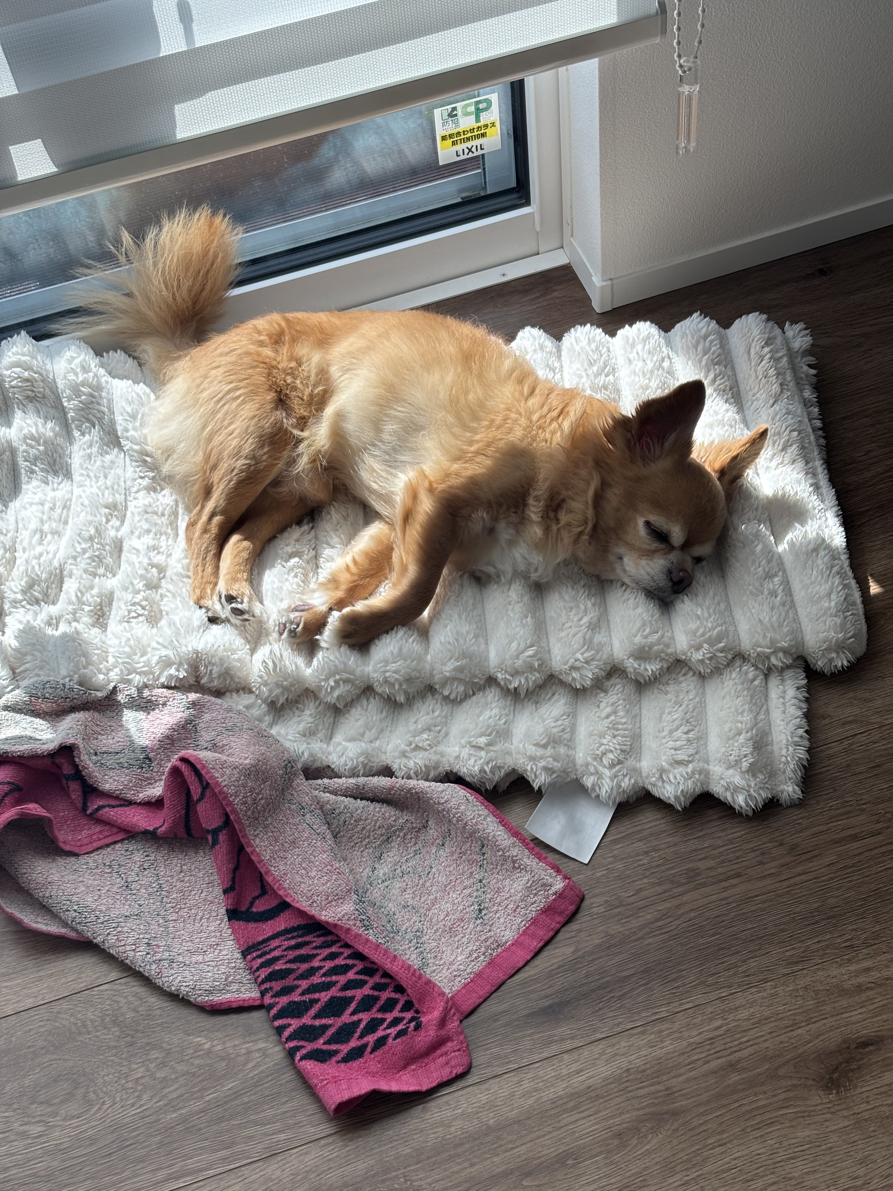 ラ コレクシオン プリヴェ クリスチャン ディオール デオリビエラ オードゥ パルファン/Dior/香水(レディース)を使ったクチコミ（3枚目）