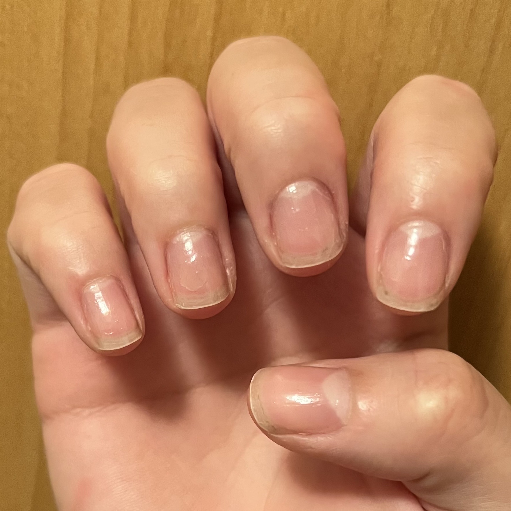 NMネイキッドベース/ゾーヤ/その他キットセットを使ったクチコミ（2枚目）