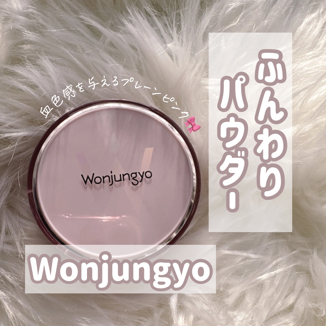 ウォンジョンヨ フィクシングブラーパウダー N/Wonjungyo/ルースパウダーを使ったクチコミ（1枚目）