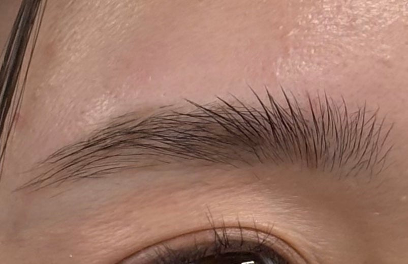 眉毛迷子の救世主 on LIPS 「眉毛の毛流れ命な私にとって、これは手放せないアイテム。HBLB..」(1枚目)