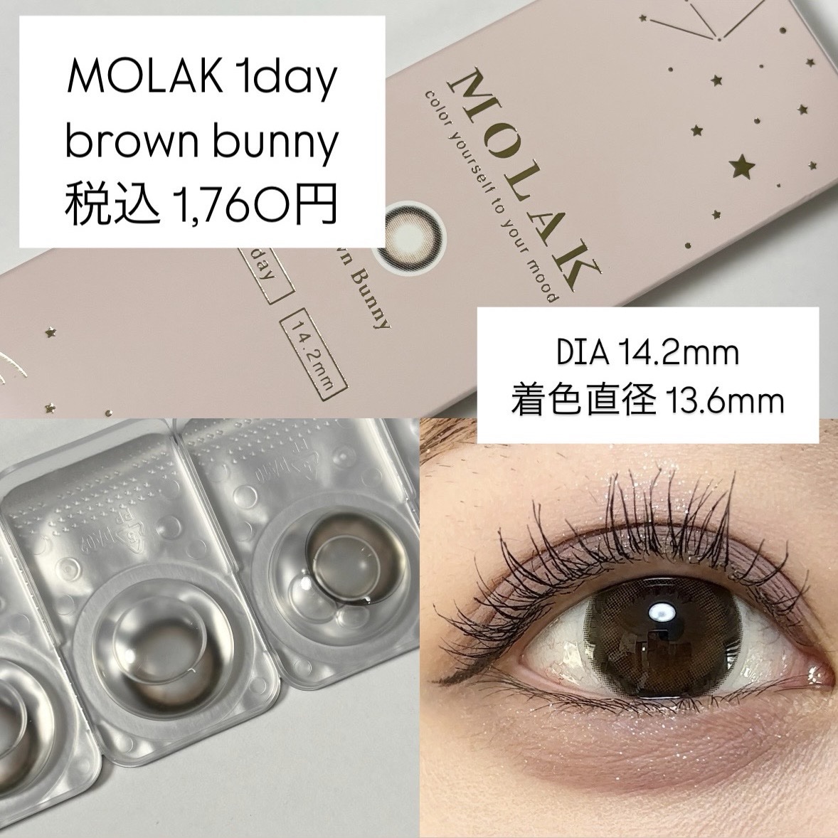 今回は、MOLAK 1day ブラウンバニーのレビューです🐰🤎

モラクは宮脇咲良さんがイメージモデルを務める
カラコンです！

ブラウンバニーは発売されてからずっと何度もリピート購入しているお気に入りです！


【特徴】
✔︎︎︎︎モ