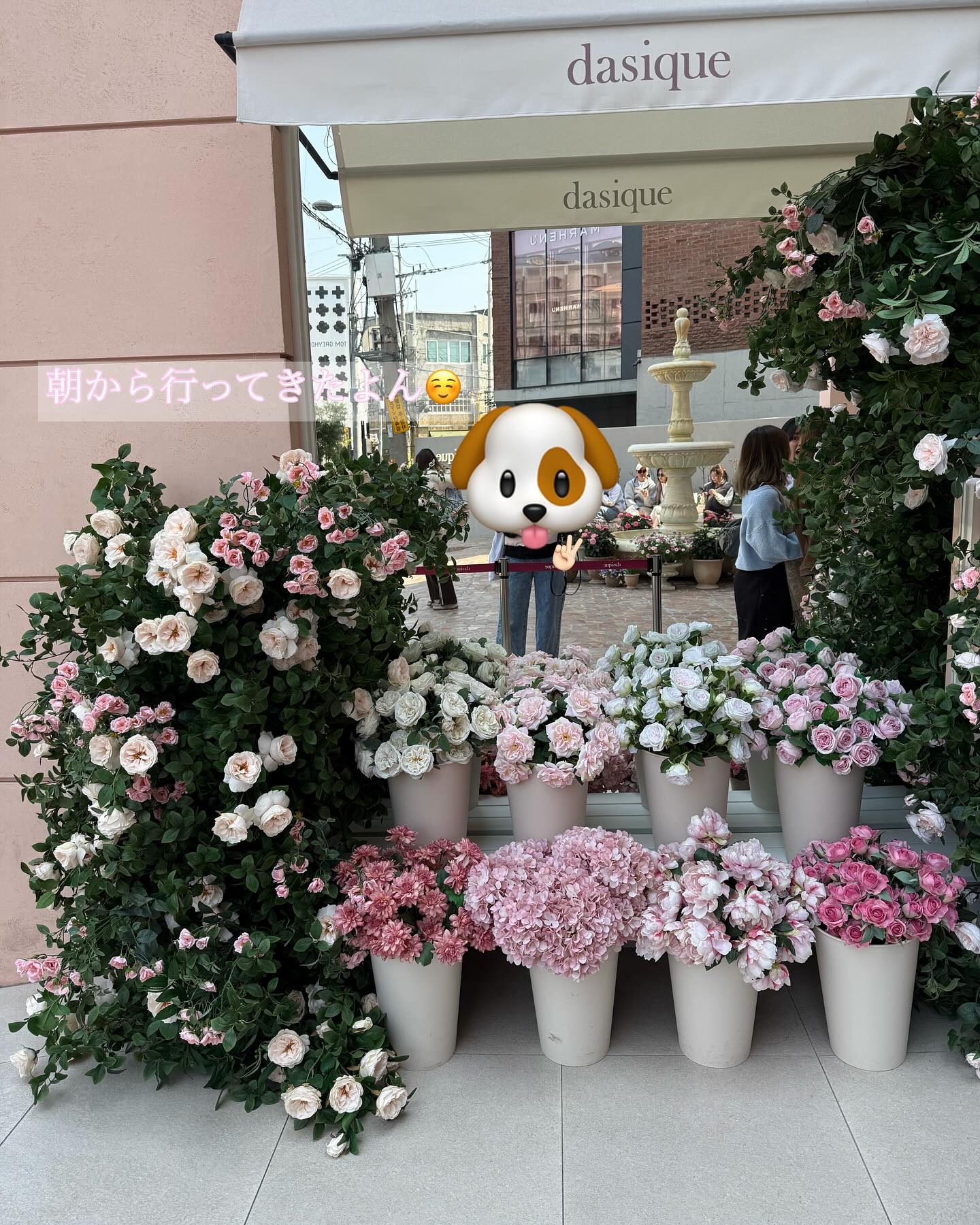 ソフトブラーチーク 05ブラッシュピンク/dasique/パウダーチークを使ったクチコミ（2枚目）