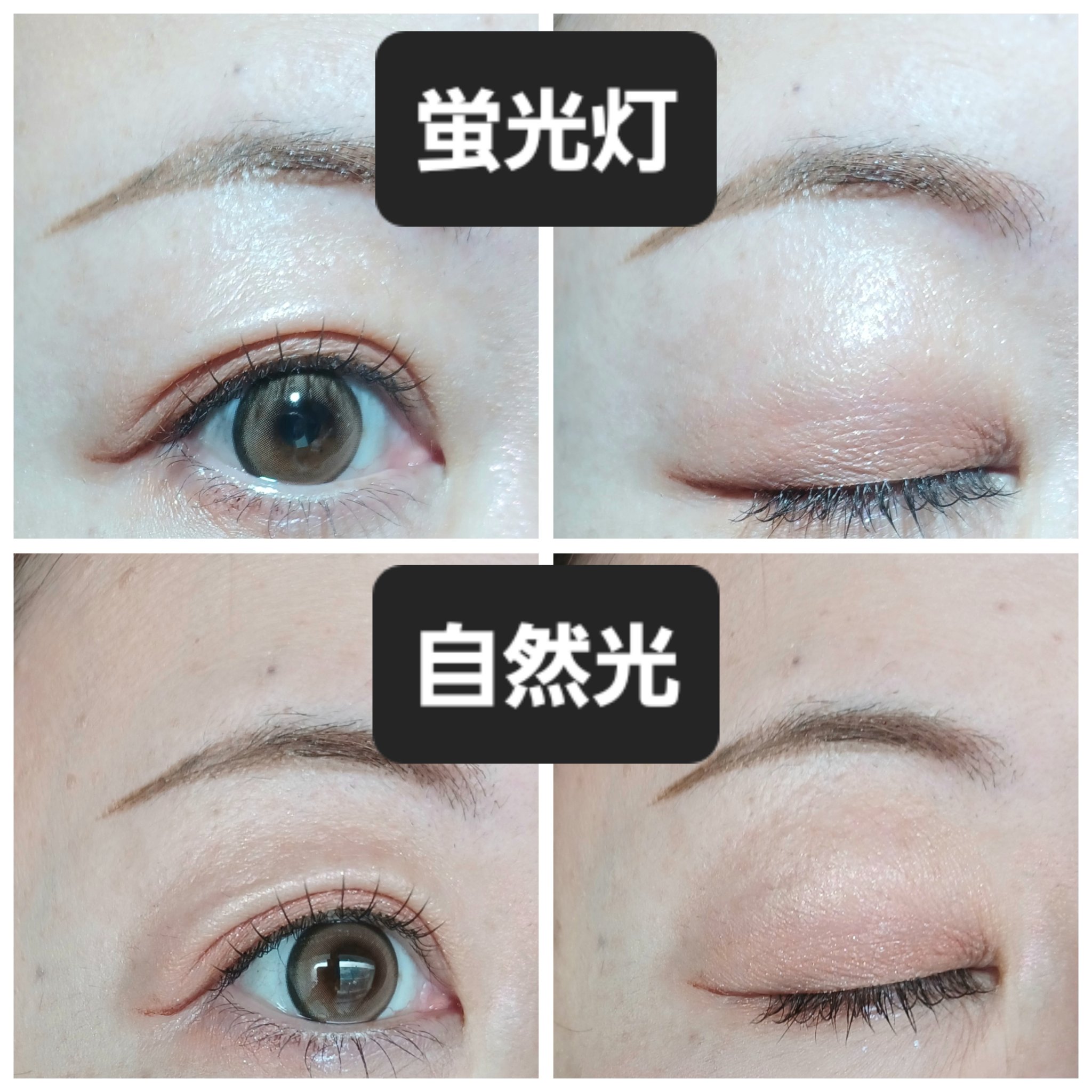 ラッシュフォーカス/D-UP/つけまつげを使ったクチコミ（3枚目）