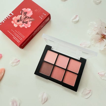 ブラーフィニシュシャドウパレット/Dinto/アイシャドウパレットを使ったクチコミ(5枚目)