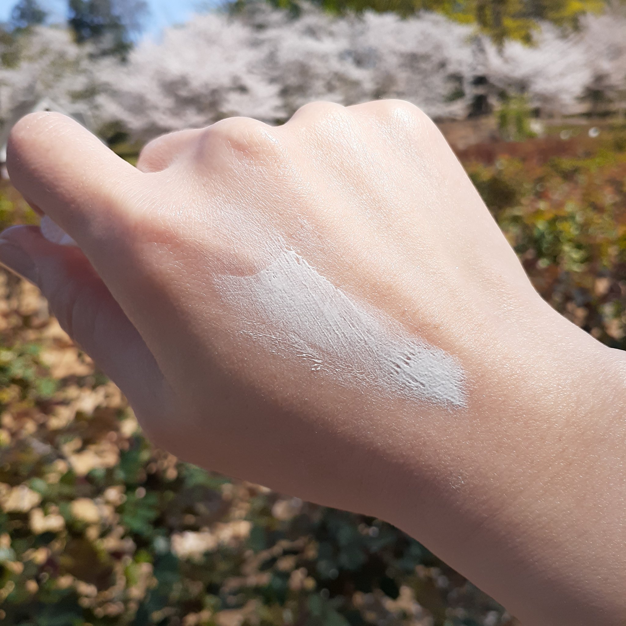 by365 パウダリーUVクリーム トーンアップ/ナリスアップ/日焼け止め・UVケアを使ったクチコミ（3枚目）