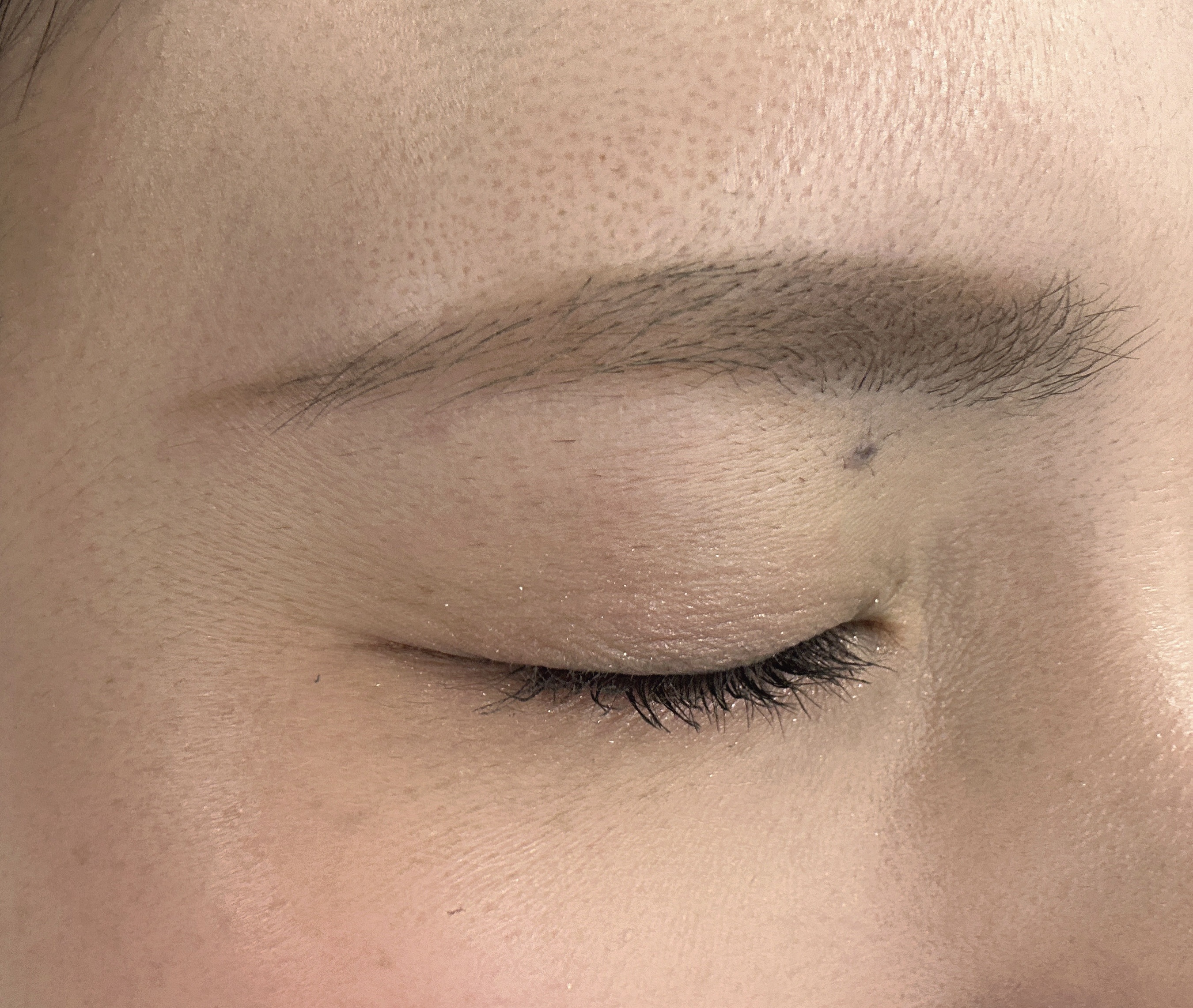 HBL アイブロウ エンドペンシル0.8/HBL BEAUTY/アイブロウペンシルを使ったクチコミ（1枚目）