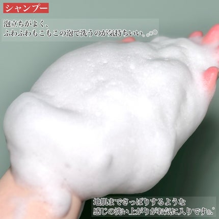 薬用 アンチヘアロス&スカルプスプレー【医薬部外品】/ダイアン/ドライシャンプーを使ったクチコミ(5枚目)