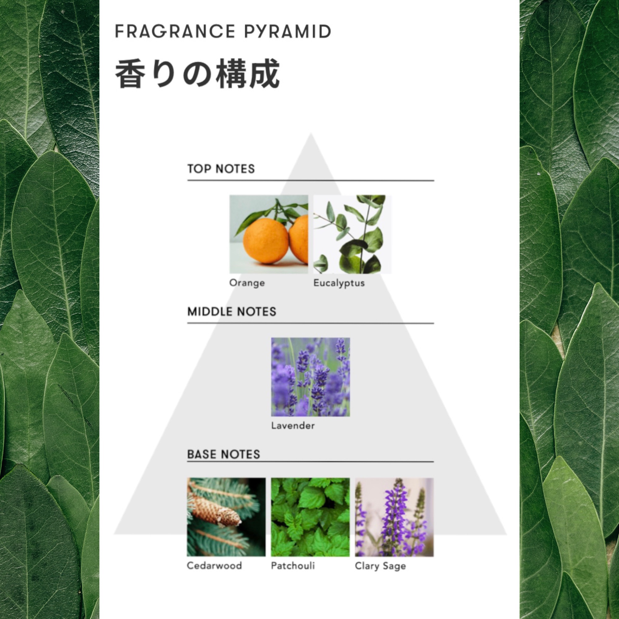 マインドフル　フレグランス　ノンアルコール   ピュリフィケーション・オブ・マインド/SINN PURETÉ/香水(レディース)を使ったクチコミ（3枚目）