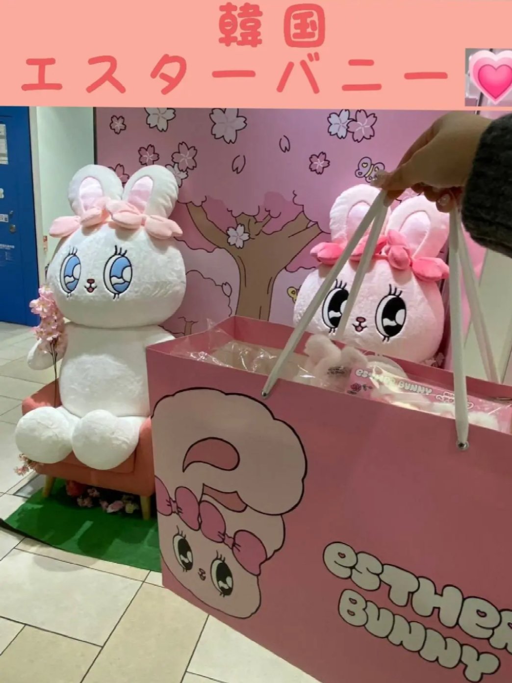 ヘアーバンド/エスターバニー/ヘアアクセサリーを使ったクチコミ（2枚目）