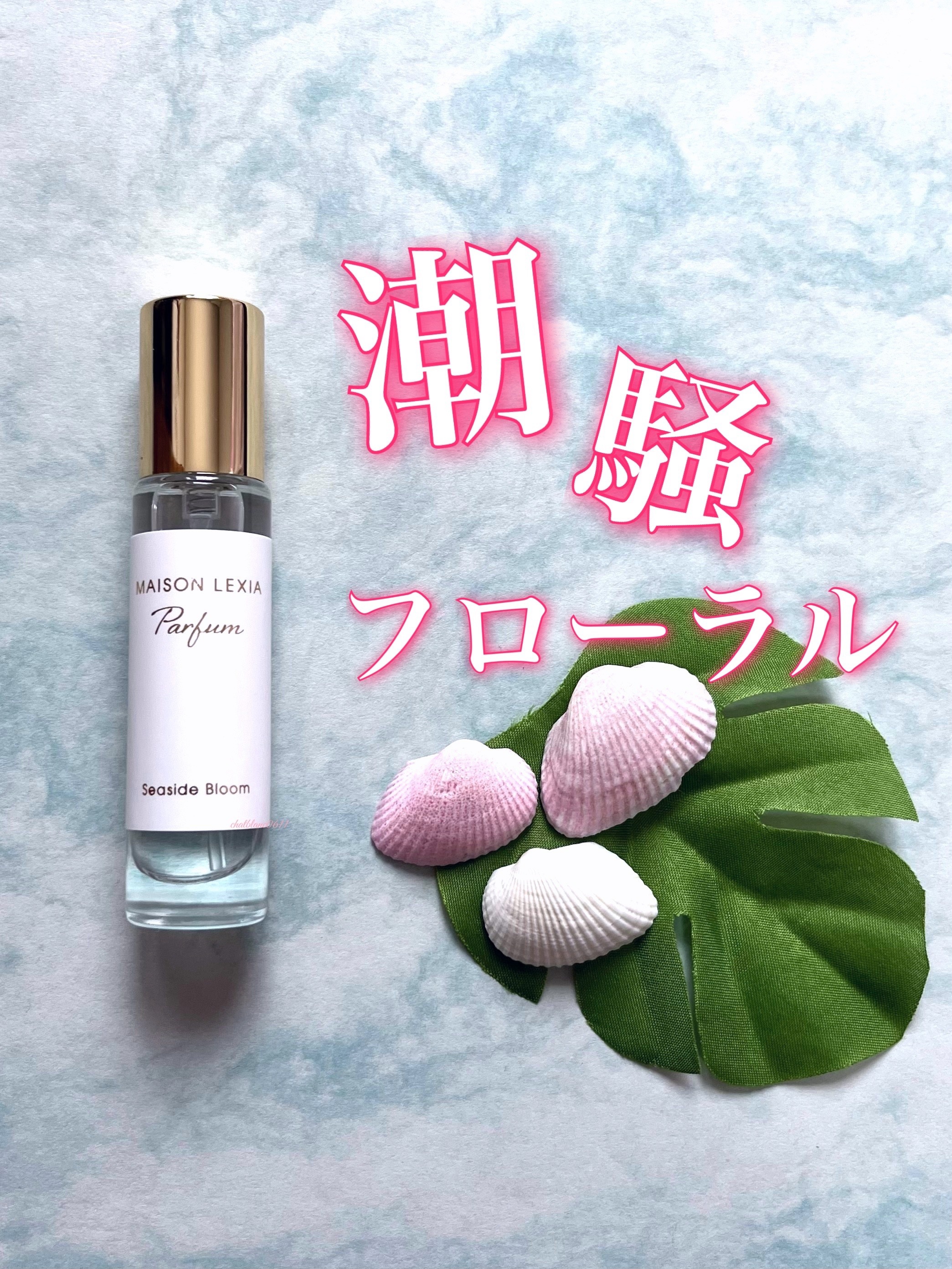 2025冬新作】MAISON LEXIA(メゾンレクシア)新発売コスメ！発売日や価格