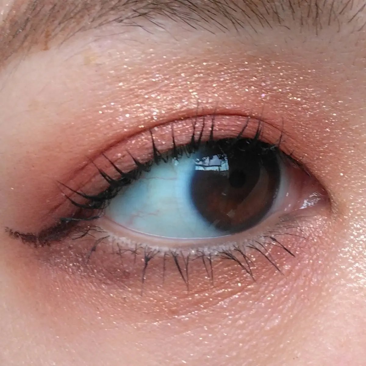 ナイストゥミーチュートランク/MAJOLICA MAJORCA/アイシャドウパレットを使ったクチコミ（3枚目）