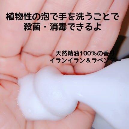 ウォシュボン ハーバル薬用ハンドソープ/サラヤ/ハンドソープを使ったクチコミ(2枚目)