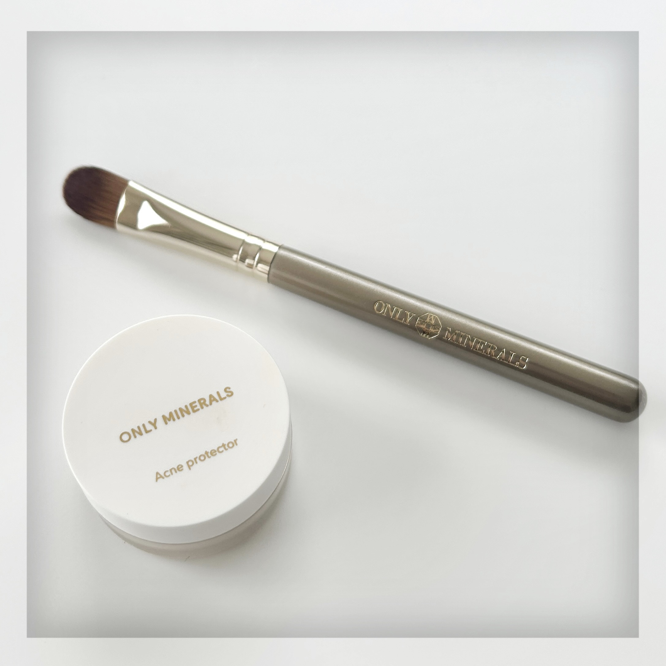 薬用コンシーラー アクネプロテクター/ONLY MINERALS/パウダーコンシーラーを使ったクチコミ（1枚目）
