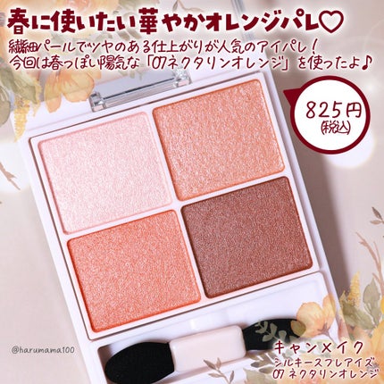シルキースフレアイズ/キャンメイク/アイシャドウパレットを使ったクチコミ(2枚目)