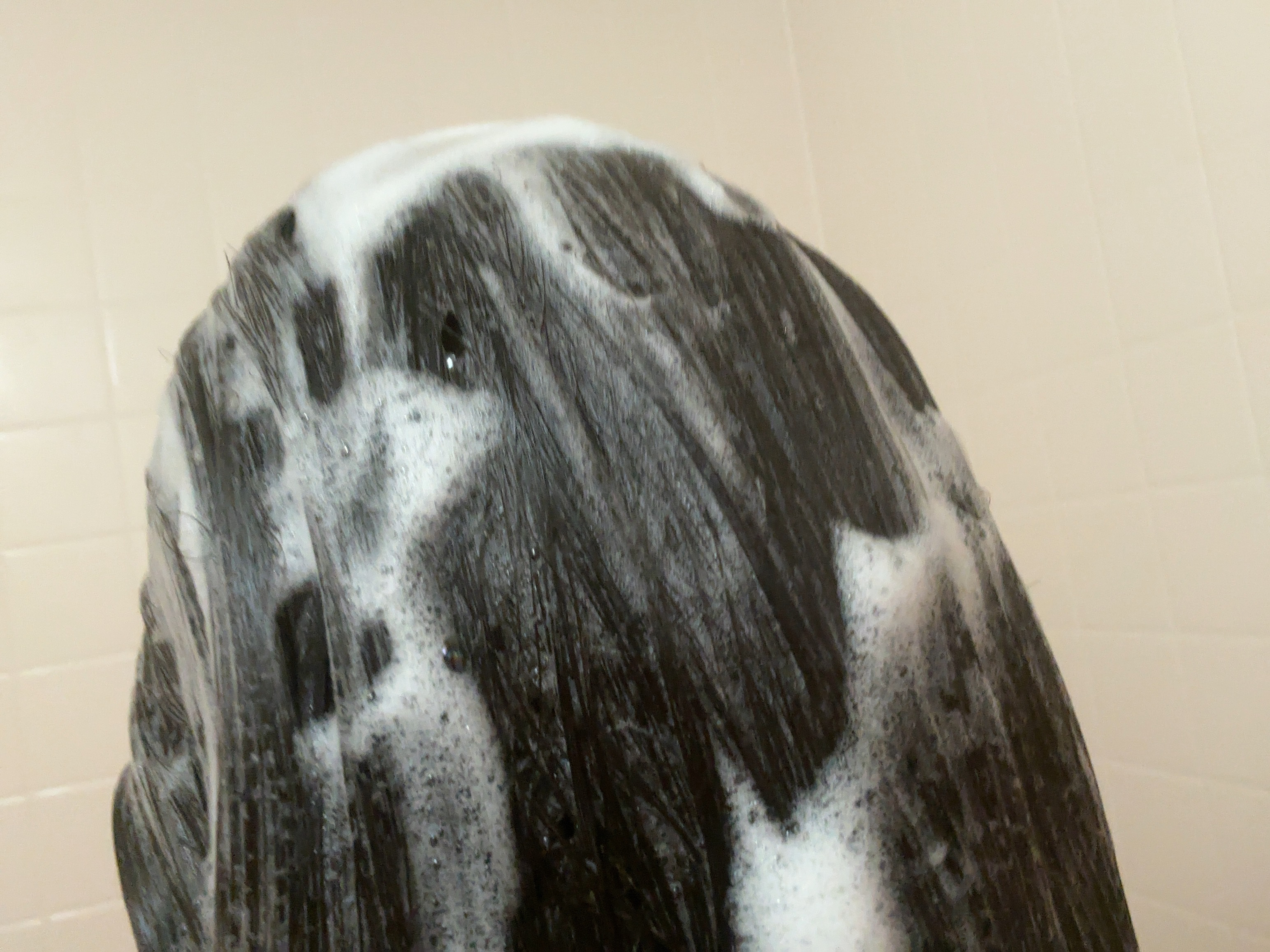 AROMA RETREAT SCALP TREATMENT SHAMPOO 実_minori/SENN/市販シャンプーを使ったクチコミ（3枚目）