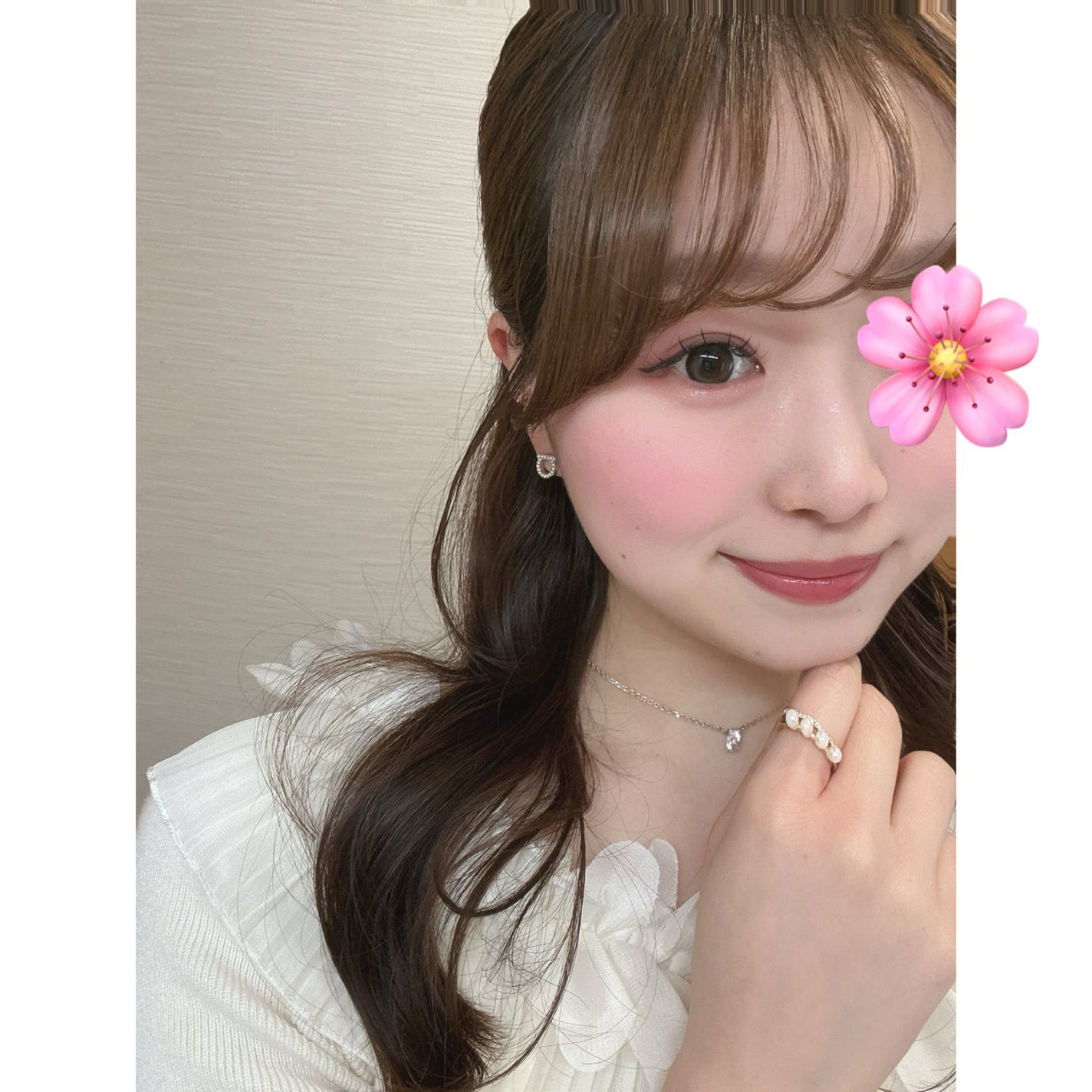 シャドウパレット/dasique/アイシャドウパレットを使ったクチコミ(3枚目)