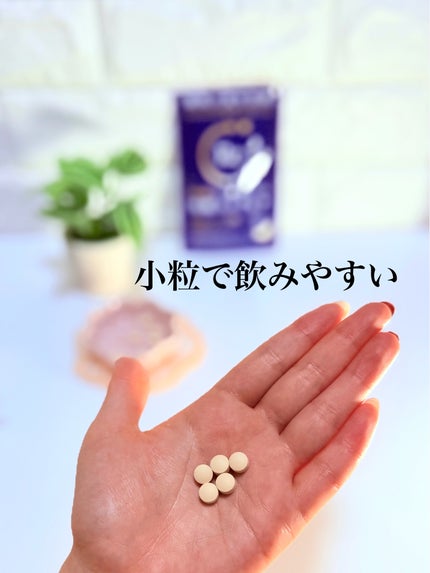 アリナミン®ナイトリカバー 快眠ユーグレナ(機能性表示食品)/アリナミン製薬/健康サプリメントを使ったクチコミ(2枚目)