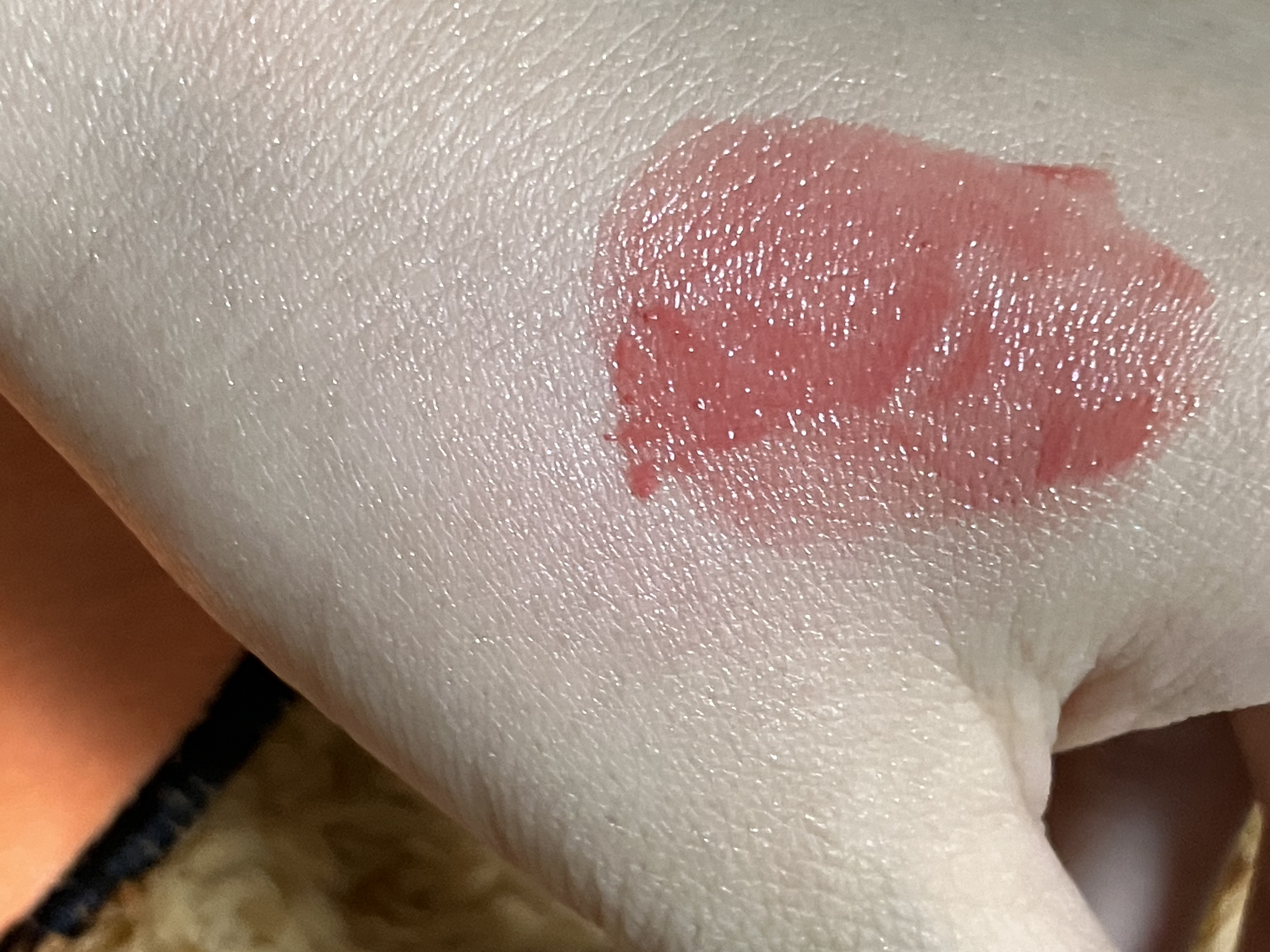 ステイオンバームルージュ/キャンメイク/口紅を使ったクチコミ（2枚目）