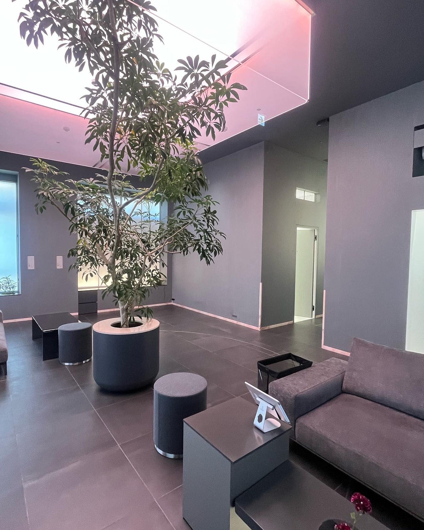 yocco on LIPS 「コスメラウンジ様の企画で、エストさんから商品・サービスを提供い..」(1枚目)