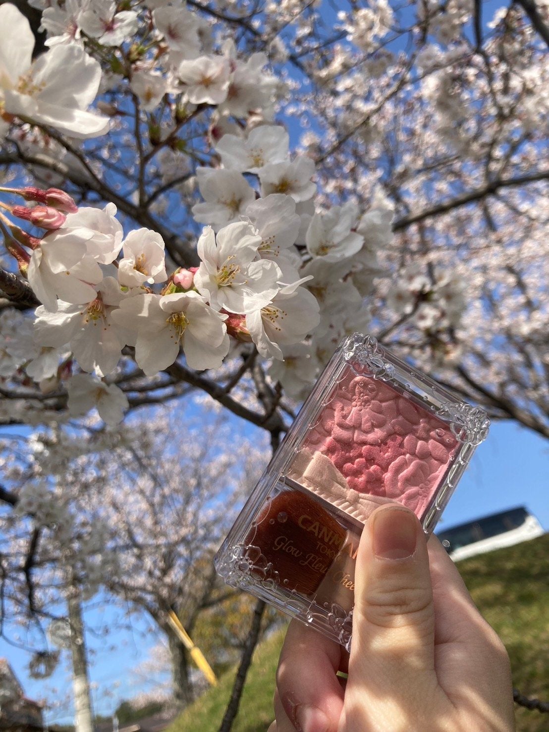 グロウフルールチークス/キャンメイク/パウダーチークを使ったクチコミ(1枚目)