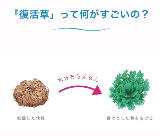 埩掻èããã£ãã»ã©ã ãã¡ãŒãã³ã°ãããã/Abib /çŸå®¹æ¶²ã䜿ã£ãã¯ãã³ãïŒ2æç®ïŒ