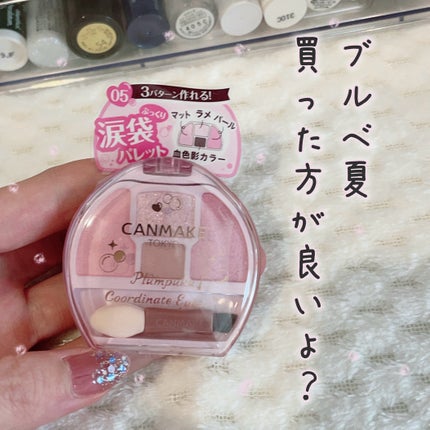 プランぷくコーデアイズ/キャンメイク/パウダーアイシャドウを使ったクチコミ(1枚目)