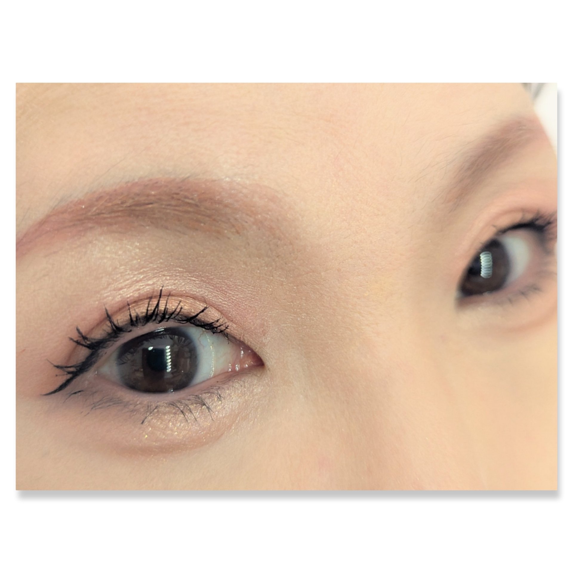 ル・ヌフ・ジバンシイ/GIVENCHY/アイシャドウパレットを使ったクチコミ（2枚目）