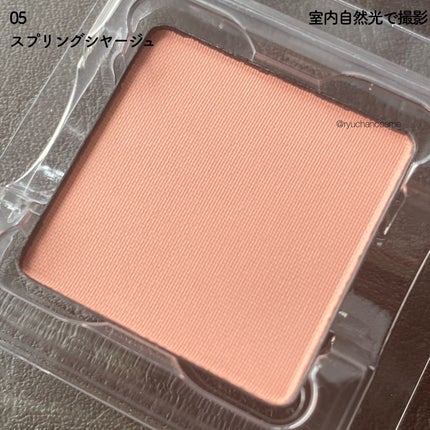 RMK インフィニシェイド シングル アイシャドウ 02 ラストシガー(M) /RMK/単色アイシャドウの画像