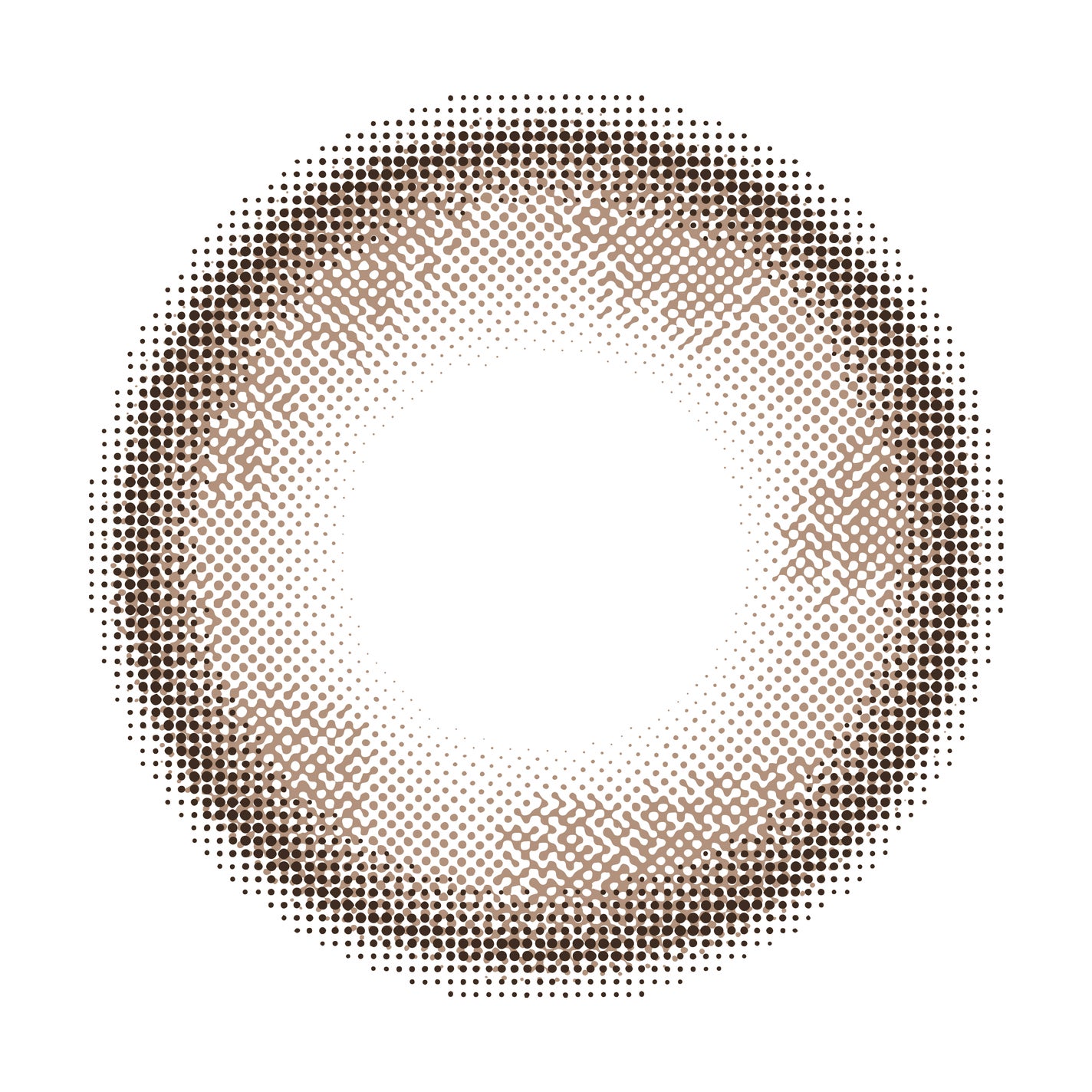 feliamo 1day ブリュレパール