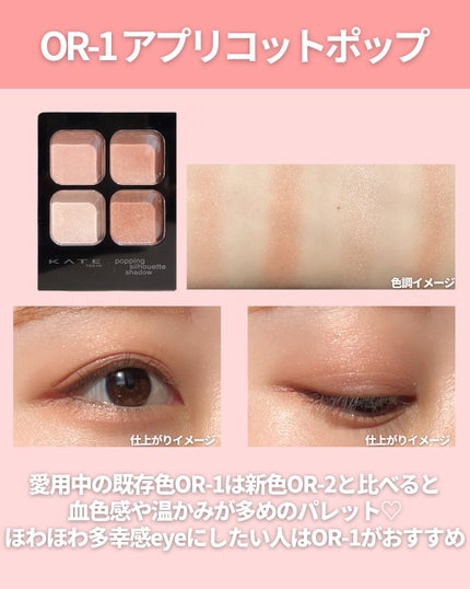 ケイト ポッピングシルエットシャドウ/KATE/アイシャドウパレットを使ったクチコミ(7枚目)