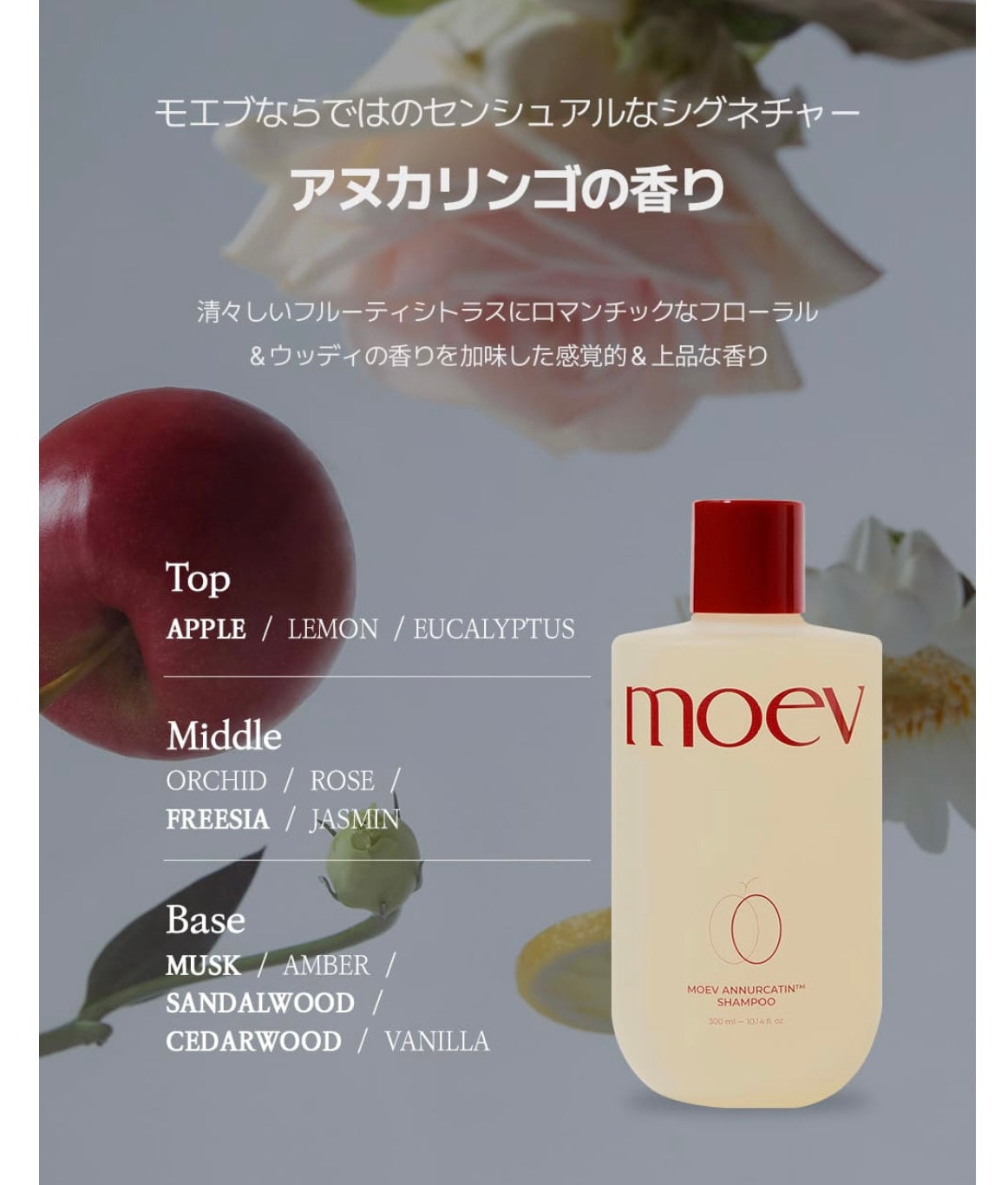 モエブ アヌカチン シャンプー/トリートメント/moev/市販シャンプーを使ったクチコミ(5枚目)