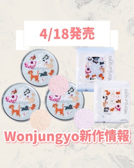 ウォンジョンヨ フィクシングブラーパウダー N/Wonjungyo/ルースパウダーを使ったクチコミ(1枚目)