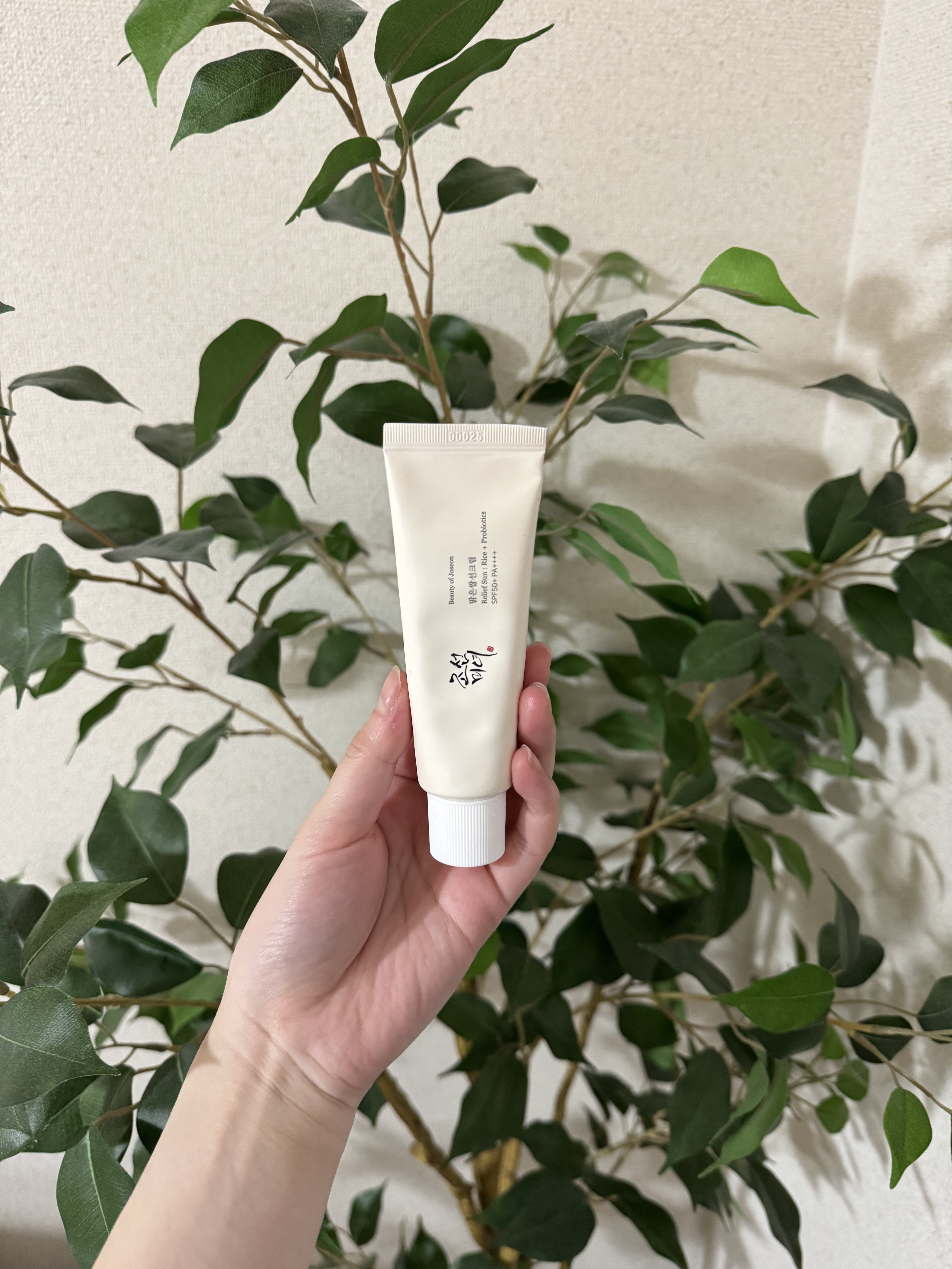 リリーフサンライス + プロバイオティクス/Beauty of Joseon/日焼け止めクリームを使ったクチコミ（1枚目）